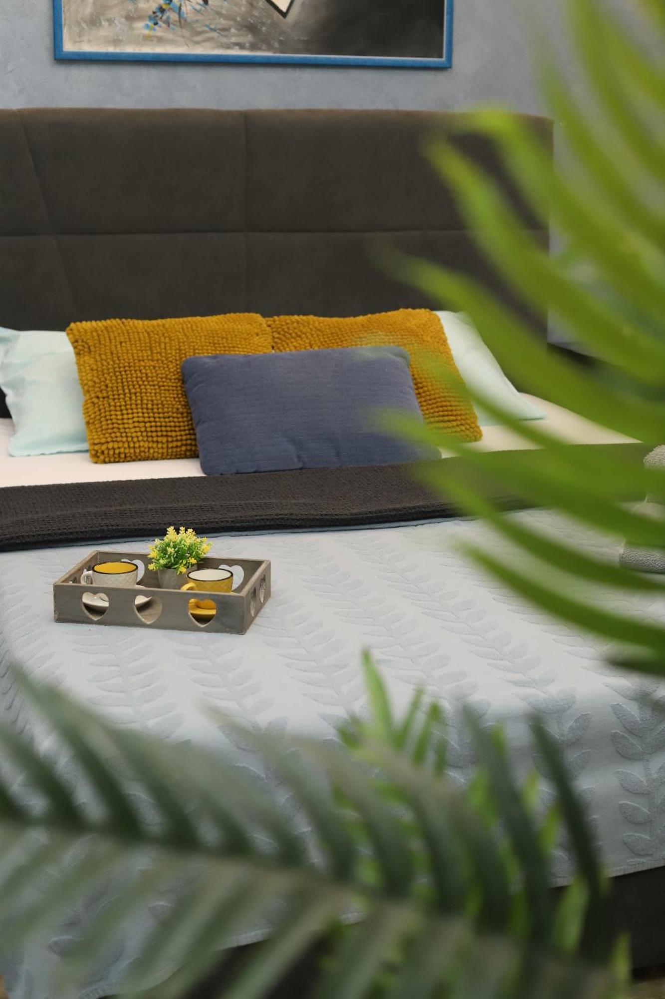 Vanimi Lux Apartmani Kikinda Екстериор снимка