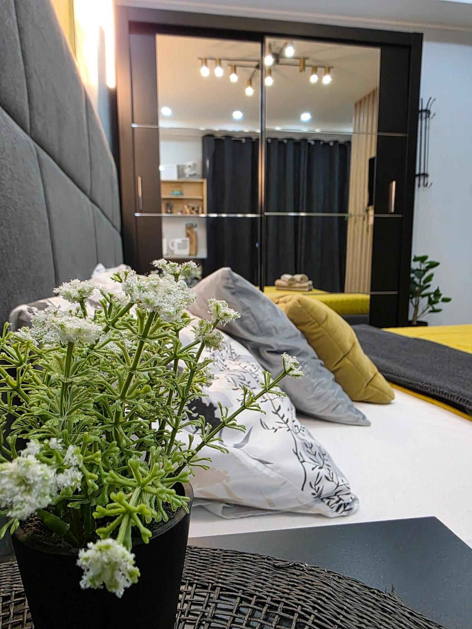 Vanimi Lux Apartmani Kikinda Екстериор снимка